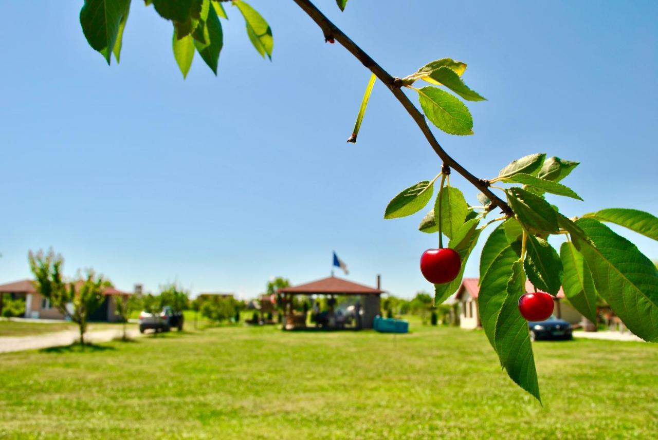 Hotel Camping La Foisor Turda Zewnętrze zdjęcie