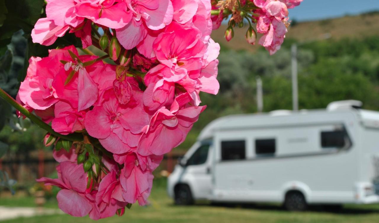 Hotel Camping La Foisor Turda Zewnętrze zdjęcie